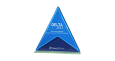 logotyp delta 2015